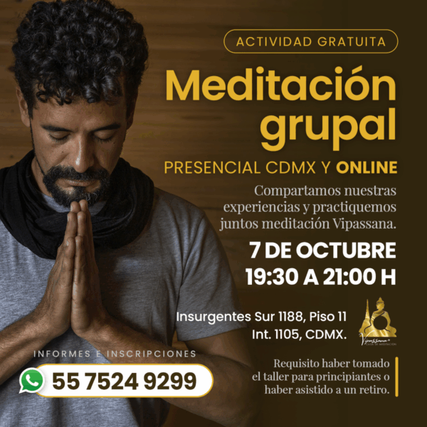 Sesión grupal de meditación Vipassana