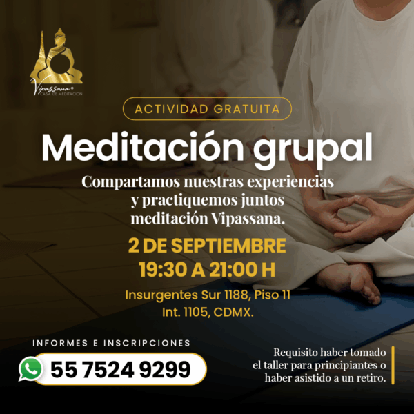 Sesión grupal de meditación Vipassana