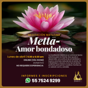 Comienza la semana con Amor-Bondad, meditación en línea