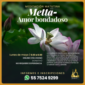 Comienza la semana con Amor-Bondad, meditación en línea