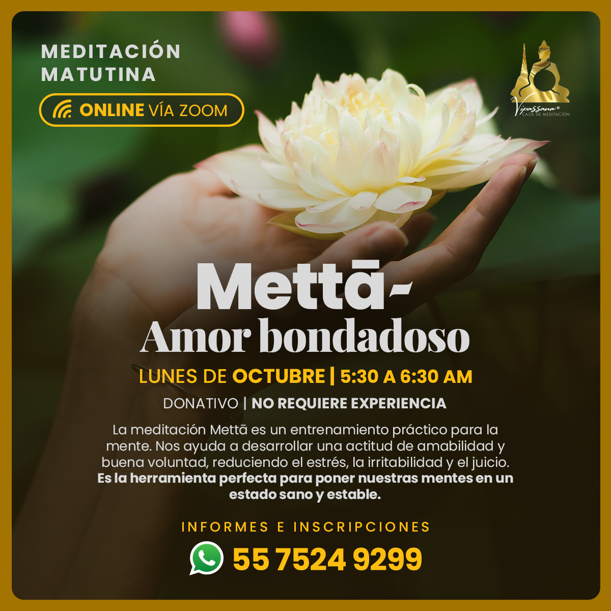 Comienza la semana con Amor-Bondad, meditación en línea