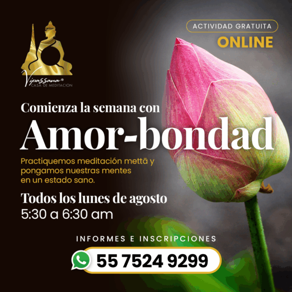 Comienza la semana con Amor-Bondad, meditación en línea