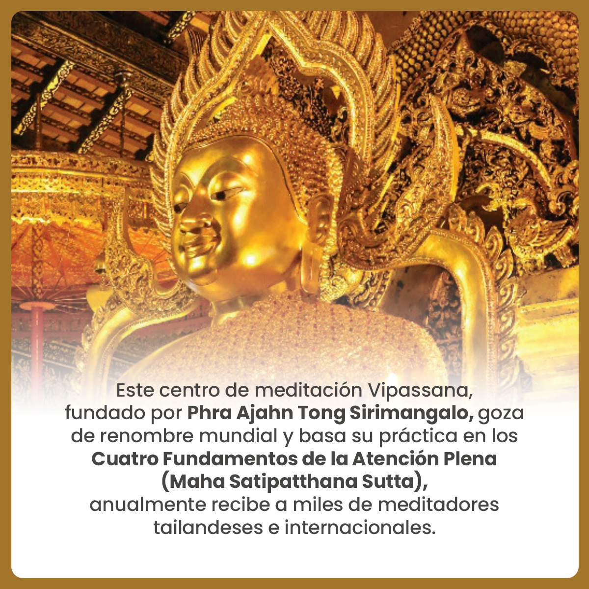 Retiros en silencio de meditación Vipassana, 20 días, curso básico - Imagen 5